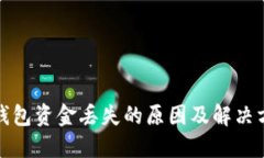 TP钱包资金丢失的原因及解